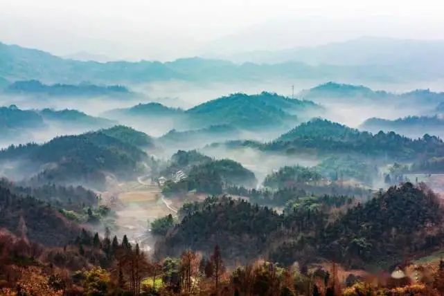 1659087927192076.jpg 64142.jpg